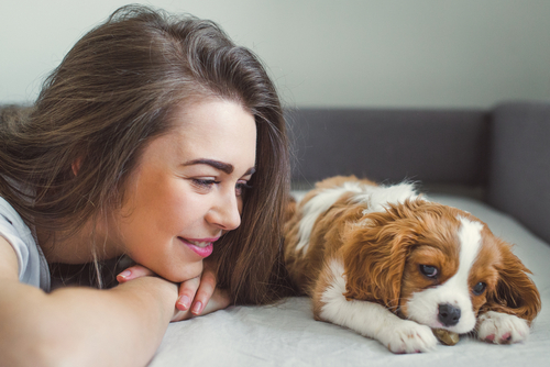 Talking to your pets: Crazy Or Normal? Ask a doctor's opinion...