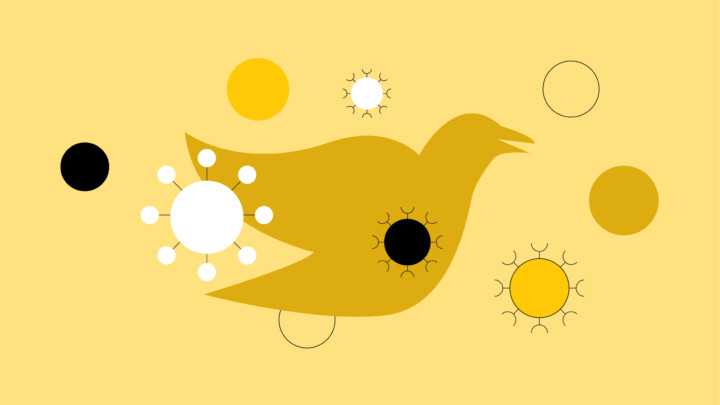 A stylized yellow bird with abstract circular virus-like shapes and colored dots hints at Bird Flu's pandemic potential on a light yellow background.
