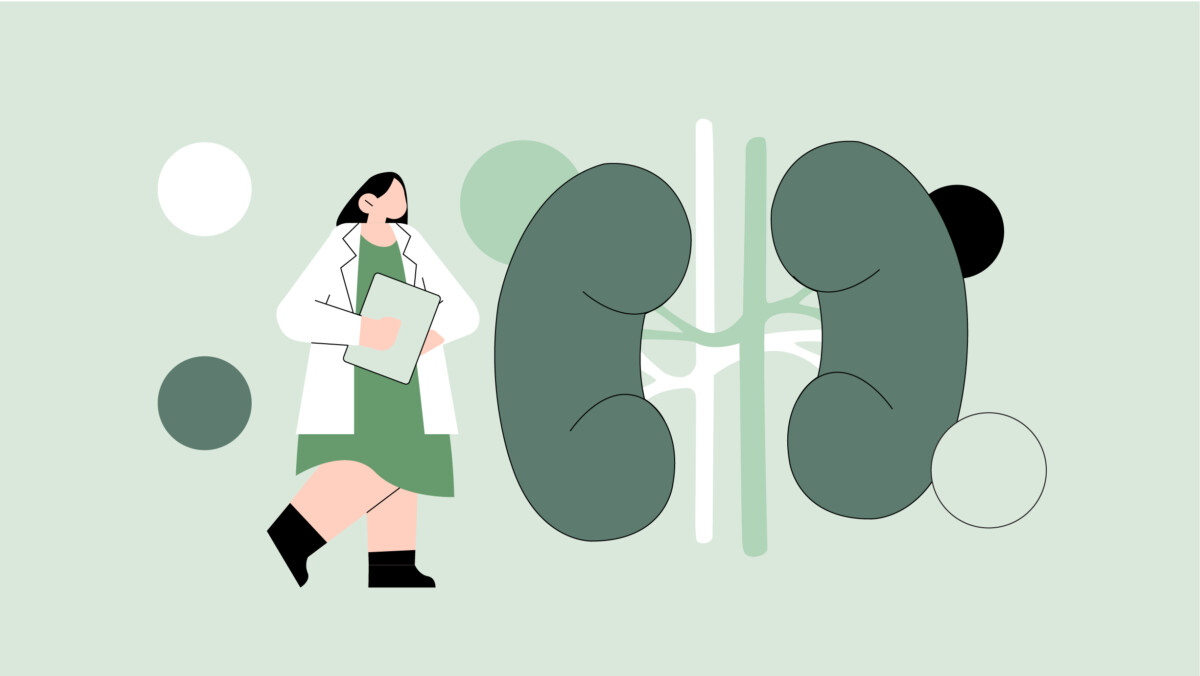 Illustration of a doctor holding a clipboard next to a large diagram of human kidneys on a light green background, highlighting the vital role nephrologists play in healthcare and inspiring career choices for 2026.