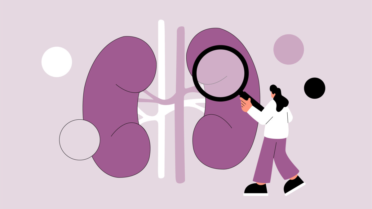 Illustration of a person holding a magnifying glass over a pair of kidneys, with abstract shapes in the background—symbolizing how nephrologist side gigs can offer extra income by leveraging expertise beyond clinical practice.